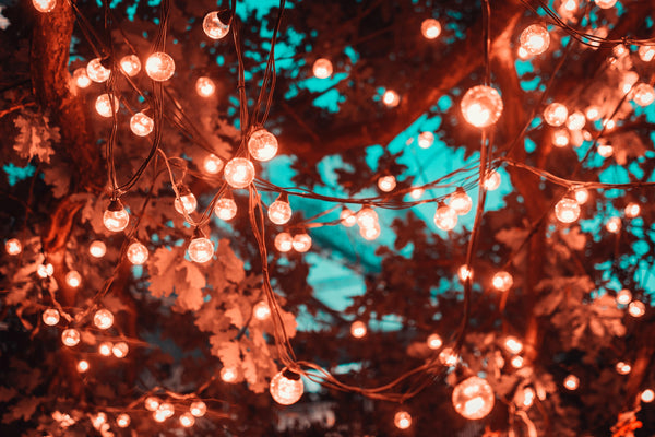 How to store Christmas Decorations?
